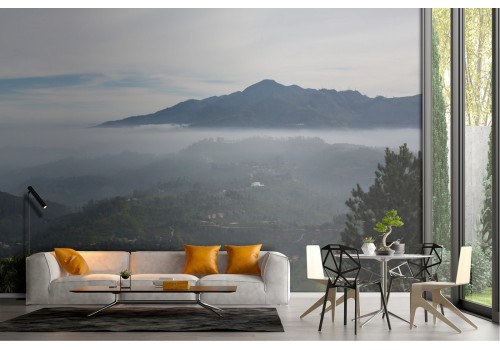 Wallpaper of mountain forests landscape 2