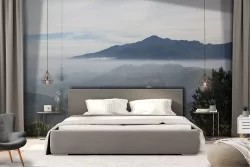 Wallpaper Forests and Trees Mountain