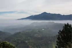 Carta da Parati Paesaggi e Natura Foreste e Alberi Montagna