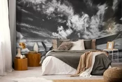 Carta da Parati Aeroplano fotografia bianco e nero-0372