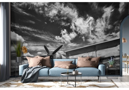 Airplane Wallpaper Black and White Photography-0372 2