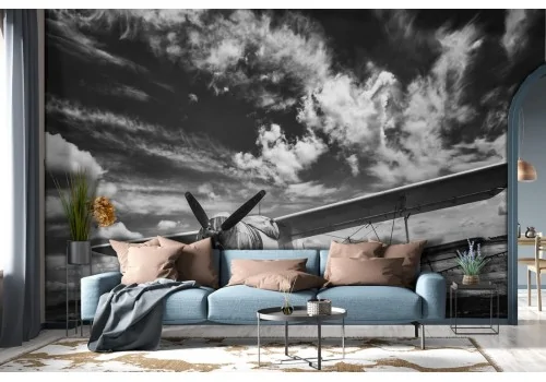 Airplane Wallpaper Black and White Photography-0372 2