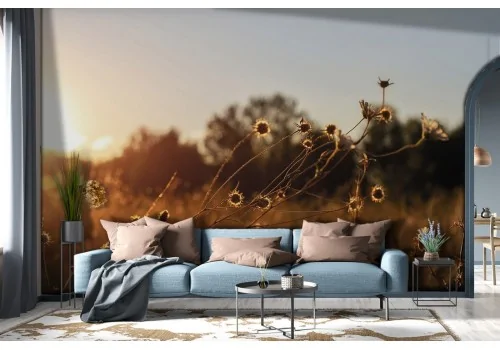 Wallpaper landscape meadow nature-0373 2