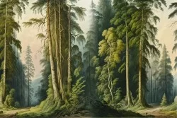 Carte da Parati foresta vintage