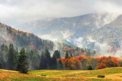 Carta da Parati Paesaggi e Natura Foreste e Alberi Montagna Prati e colline
