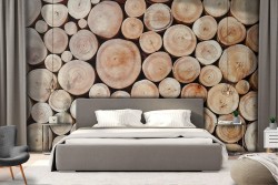 Carta da Parati Alberi Natura