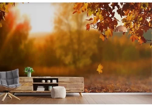 Carta da parati foglie paesaggio autunnale tramonto 2