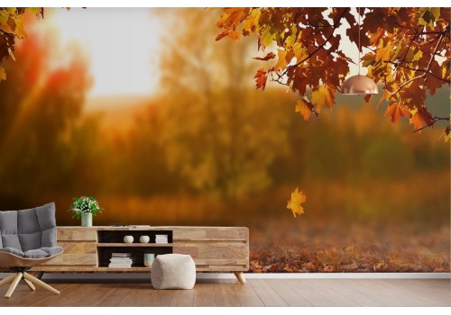 Wallpaper autumn landscape leaves sunset 2