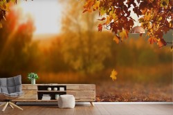 Adhesive Wallpaper Autumn Landscape Leaves Sunset
