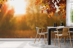 Nature Wallpaper Leaves Sunset