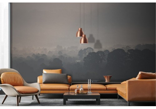 Forest landscape night wallpaper 2