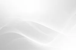 Luxury Minimalist Wallpaper