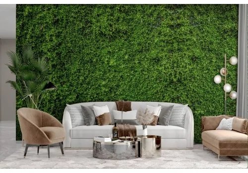 Moss Green Wall Wallpaper 2