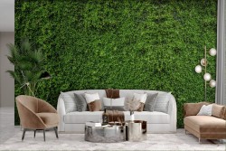 Adhesive Wallpaper Green Moss Wall