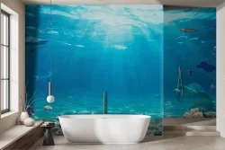 Relaxing Underwater Wallpaper