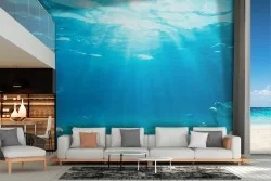 Underwater Diving Wallpaper