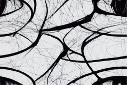 Carte da Parati Astratta Bianco e Nero