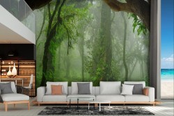 Misty Jungle Wallpaper