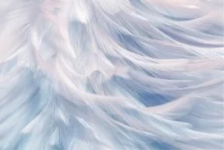 3D Artistic Feathers Wallpaper