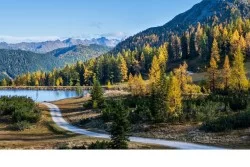 Carte da Parati Montagna e alberi