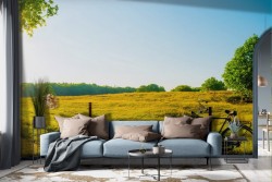 Tuscan Countryside Bike Wallpaper