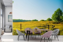 Wallpaper Bike Countryside