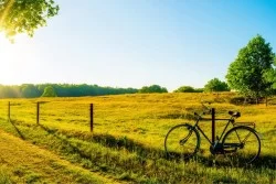 Carte da Parati Bici Campagna