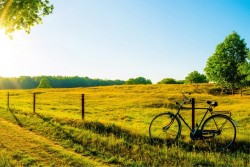 Wallpaper Bikes Countryside