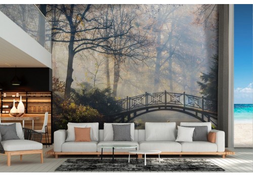 Forest wallpaper with lake and swans landscape