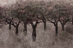 Creative Artistic Wallpaper Trees