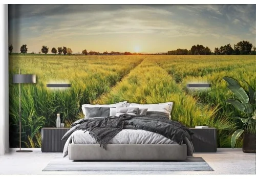 Wallpaper Meadow at Sunset with Trees -a132