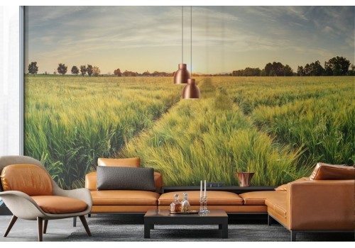 Carta da parati Prato al Tramonto con Alberi 2