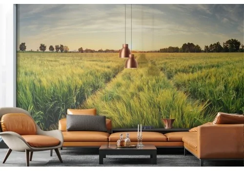 Wallpaper Meadow at Sunset with Trees 2