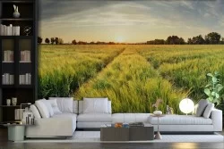 Albra Nature Landscape Wallpaper