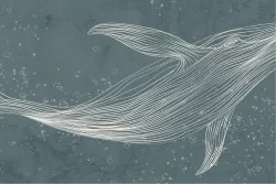 Carte da Parati Oceano Animali Marini