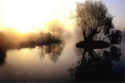 Wallpaper Flora and Fauna Landscapes and Nature Rivers Waterfalls Lakes Forests and Trees