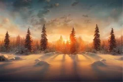 Carte da Parati Bosco al tramonto innevato