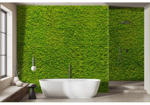 Green Moss Lichen Wallpaper