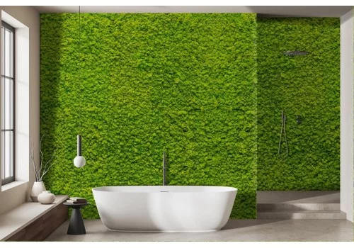 Green Moss Lichen Wallpaper