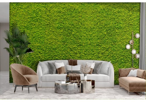 Green Moss Lichen Wallpaper 2