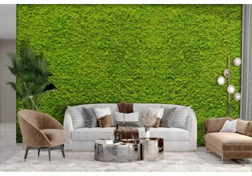 Green Moss Lichen Wallpaper 2