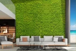 Carta da Parati muschio lichentato