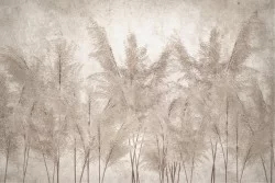 Wallpaper Reeds feathers in the wind