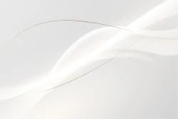 Modern Minimalist White Wallpaper