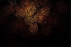 Gold Brushstrokes Wallpaper