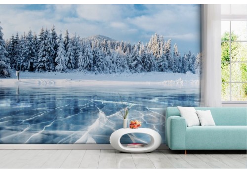 Snowy forest wallpaper with icy trees