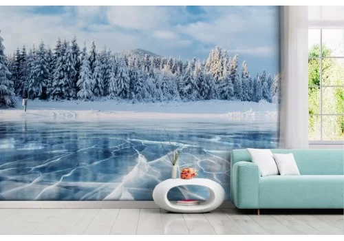 Snowy forest wallpaper with icy trees