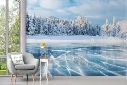 Adhesive Wallpaper snowy frozen forest trees