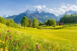 Wallpaper hill and mountain