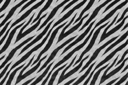 Zebra striped wallpaper